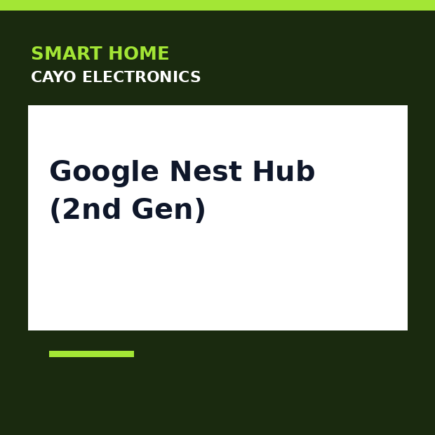Google Nest Hub (2nd Gen)