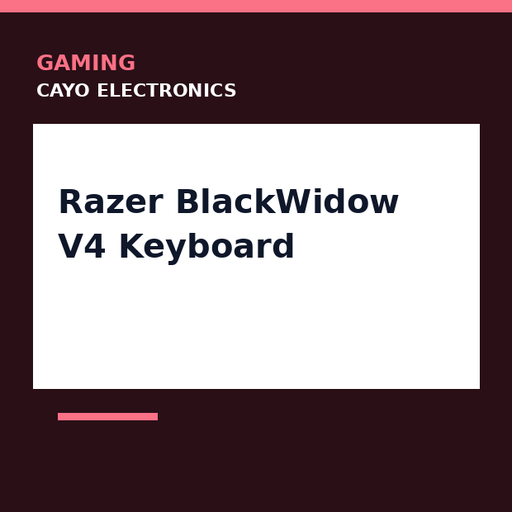 [CE-0290] Razer BlackWidow V4 Keyboard