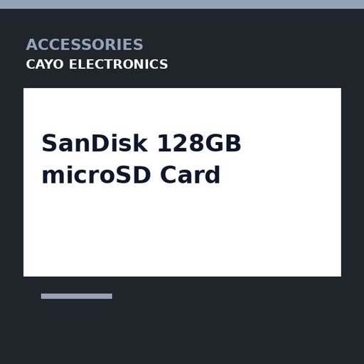 [CE-0370] SanDisk 128GB microSD Card